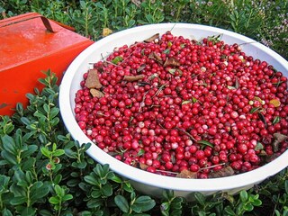 Casa de vacaciones Sälen  7