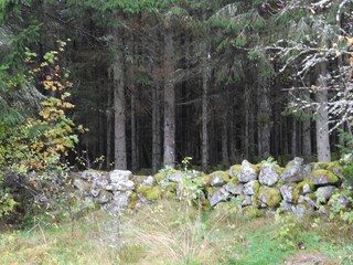 Casa de vacaciones Verum  10