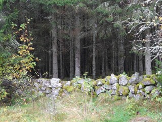 Vakantiehuis Verum  5