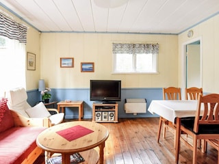 Ferienhaus Sälen  10