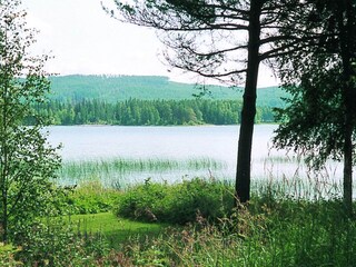 Vakantiehuis Torsby  12