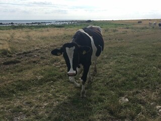 Casa de vacaciones Blixtorp  28