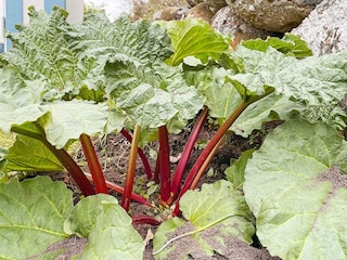 Vakantiehuis Blixtorp Buitenaudio-opname 10