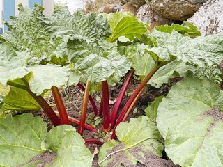 Vakantiehuis Blixtorp Buitenaudio-opname 9