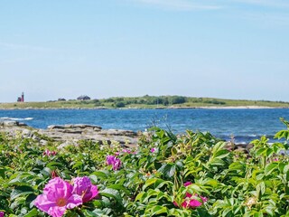 Ferienhaus Falkenberg (Schweden)  6