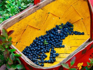 Casa de vacaciones Sälen  16