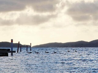 Appartement Ellös  16