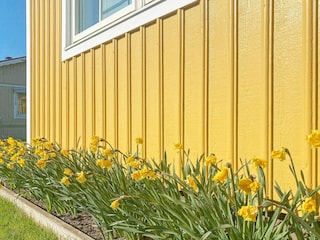 Ferienhaus Glommen Außenaufnahme 3