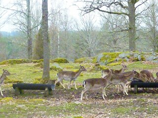Casa per le vacanze Pauliström  3