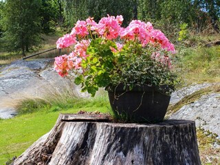 Vakantiehuis Varekil  25