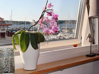 Appartement Ellös  5