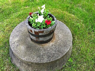 Holiday house Ellös  12