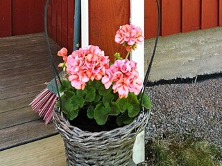 Vakantiehuis Ellös  11