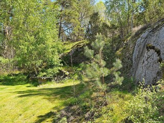 Ferienhaus Ellös  21