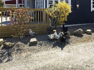 Maison de vacances Sölvesborg  22