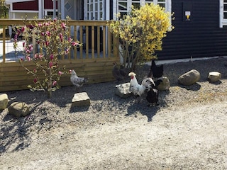 Casa per le vacanze Sölvesborg  12