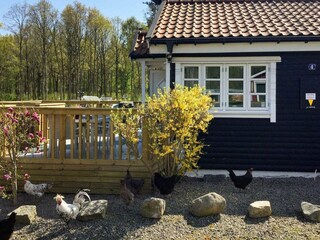 Vakantiehuis Sölvesborg Buitenaudio-opname 4
