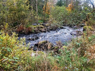 Holiday house Verum  14