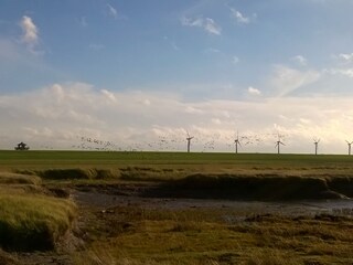 Windmühlen am Deich