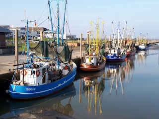 Hafen