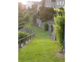 Idyllischer Pfad zum Premium-Wanderweg "Rheinsteig".
