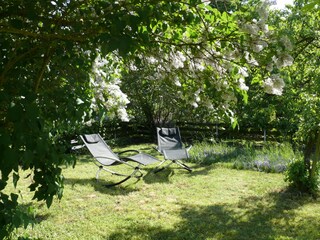 Appartamento per vacanze Patersberg Registrazione all'aperto 4