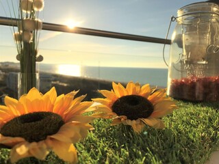 Sommer mit Blick aufs Meer