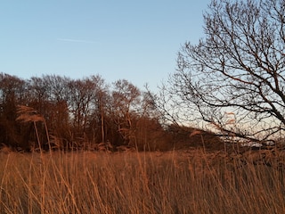 Ferienwohnung Gelting Umgebung 27
