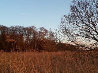Ferienwohnung Gelting Umgebung 28