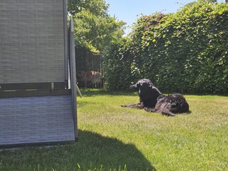 Erholung auch für die Vierbeiner der Familie