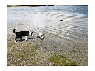 Ferienwohnung Gelting Umgebung 32