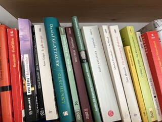 Appartamento per vacanze Gmunden Caratteristiche 10