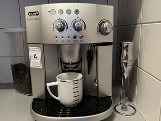 Appartamento per vacanze Gmunden Caratteristiche 15