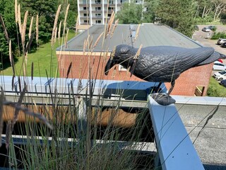 Appartamento per vacanze St. Peter-Ording Caratteristiche 30