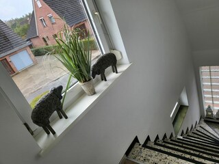 Appartamento per vacanze St. Peter-Ording Registrazione all'aperto 22