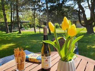 Appartamento per vacanze St. Peter-Ording Registrazione all'aperto 17