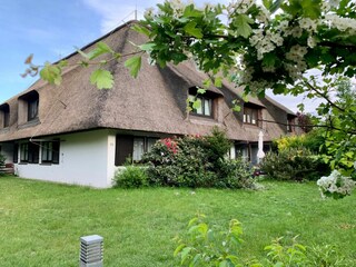 Ferienwohnung St. Peter-Ording Außenaufnahme 3