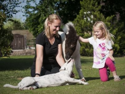 Firma Gut Fürstenberg - Frau Ivonne Rüdiger