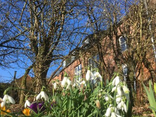 Holiday house Tetenbüll Outdoor Recording 3