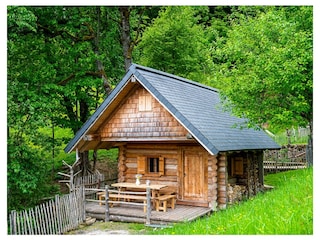Appartement de vacances Altmünster Enregistrement extérieur 9
