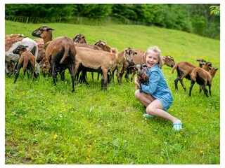 Apartamento de vacaciones Altmünster Grabación al aire libre 14