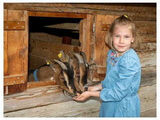 Apartamento de vacaciones Altmünster Grabación al aire libre 16