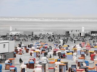 Hauptstrand mit Milchbuden