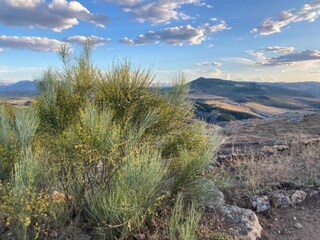 Type de propriété : Ferme Algarinejo Environnement 35