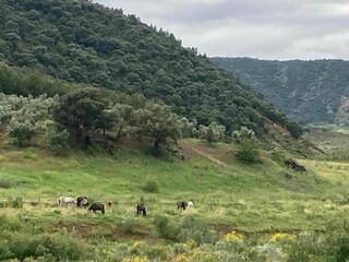 Boerderij Algarinejo Omgeving 17