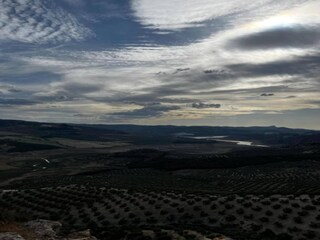 Fattoria Algarinejo Ambiente 29