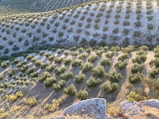Bauernhof Algarinejo Umgebung 21