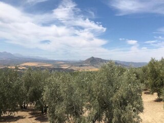 Casa de campo Algarinejo Entorno 30