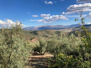 Bauernhof Algarinejo Umgebung 31