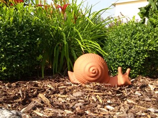 Willkommen im Garten....